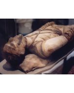 Disease, Death and Mummies in Ancient Egypt